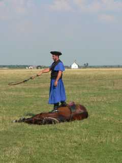 Hortobágy National ParkDe paarden worden geleerd om dood te kunnen liggen