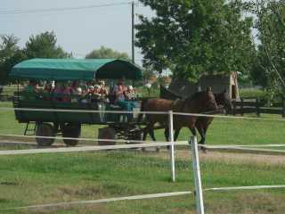 Hortobágy National ParkMet paard en wagen een tocht over de poesta gemaakt