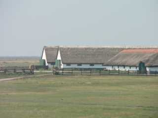 Hortobágy National ParkTraditionele schaapskooi op de Hongaarse poesta
